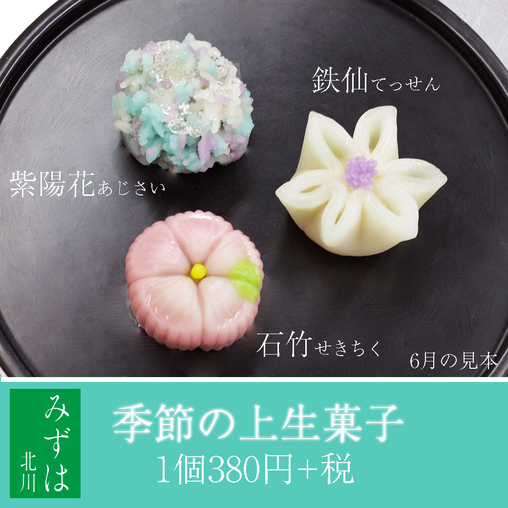 6月の上生菓子 紫陽花6個セット It Wokashi クリーム大福 通販 お取り寄せショップ Powered By Base 紫陽花ストア上生菓子 個入 お取り寄せ季節の上生菓子 Abracce Com Br 6月の上生菓子 紫陽花6個セット It Wokashi クリーム大福 通販 お取り寄せショップ Powered By Base 紫陽花ストア上生菓子 個入 お取り寄せ季節の上生菓子 Abracce Com Br