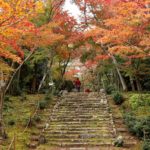 浄住寺の紅葉